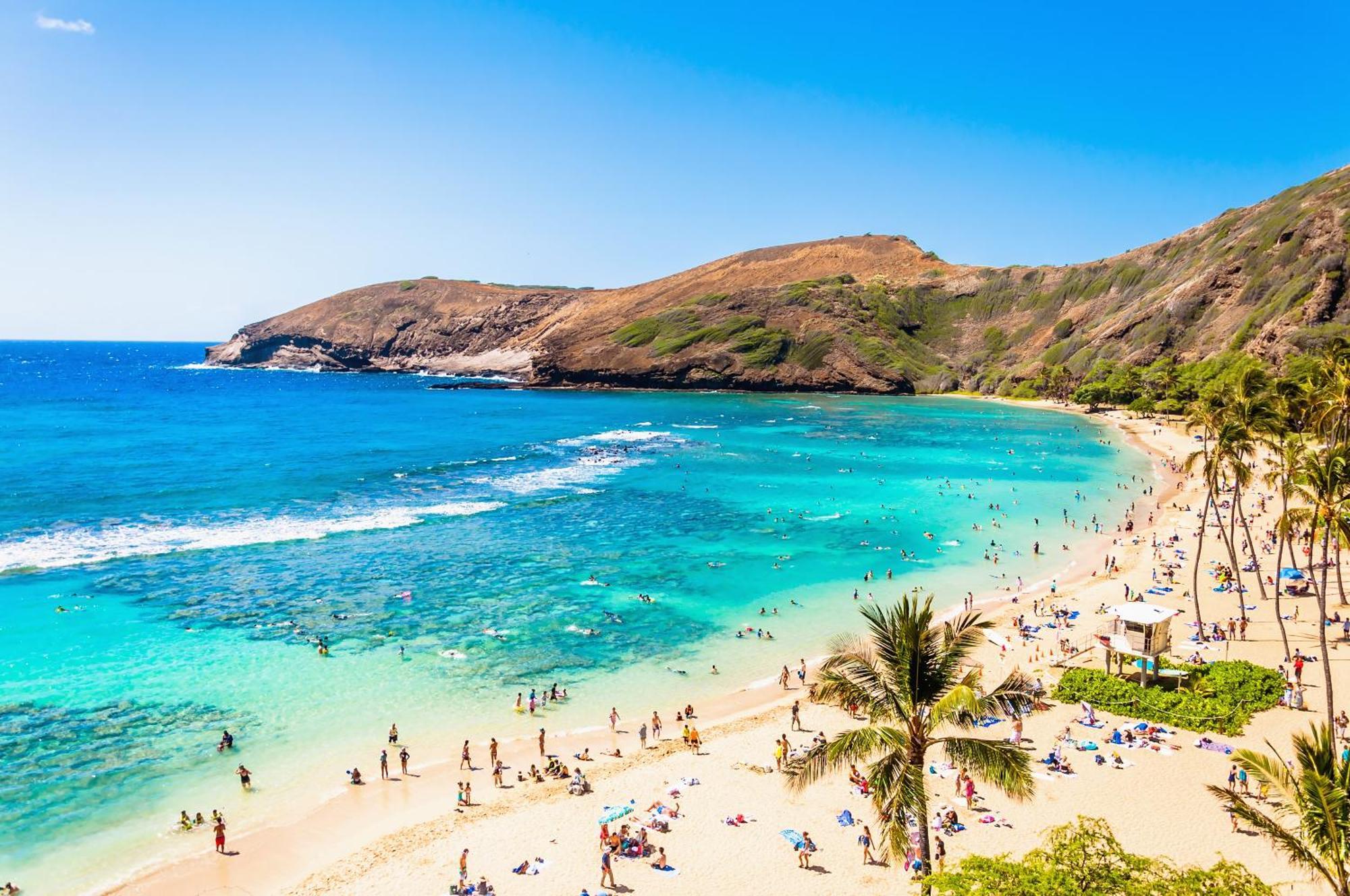 Ocean & Diamond Head Views - Near Beach - Parking! 호놀룰루 외부 사진